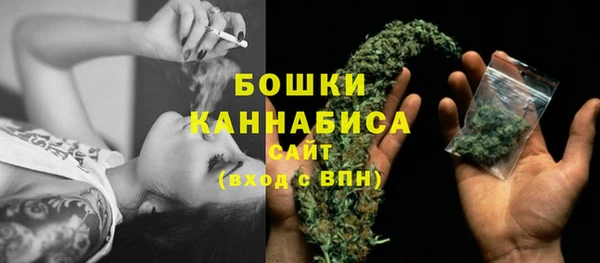 гидропоника Белокуриха