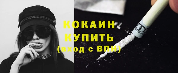 шишки Гусиноозёрск