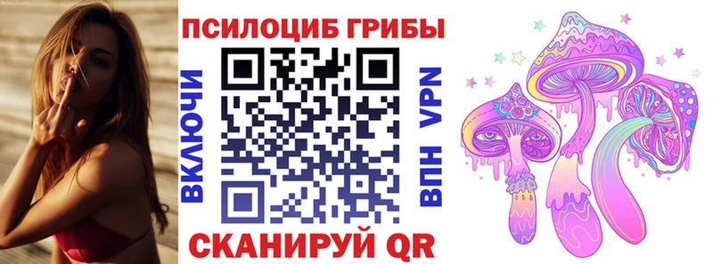 наркотики  Шагонар  Псилоцибиновые грибы прущие грибы 